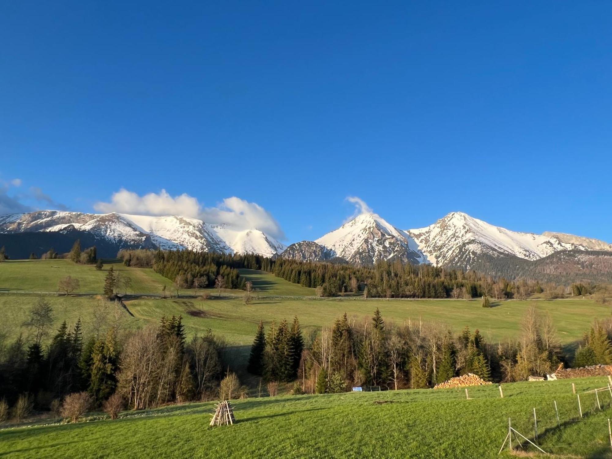 Domek alpejski Wellness Oxy Ždiar